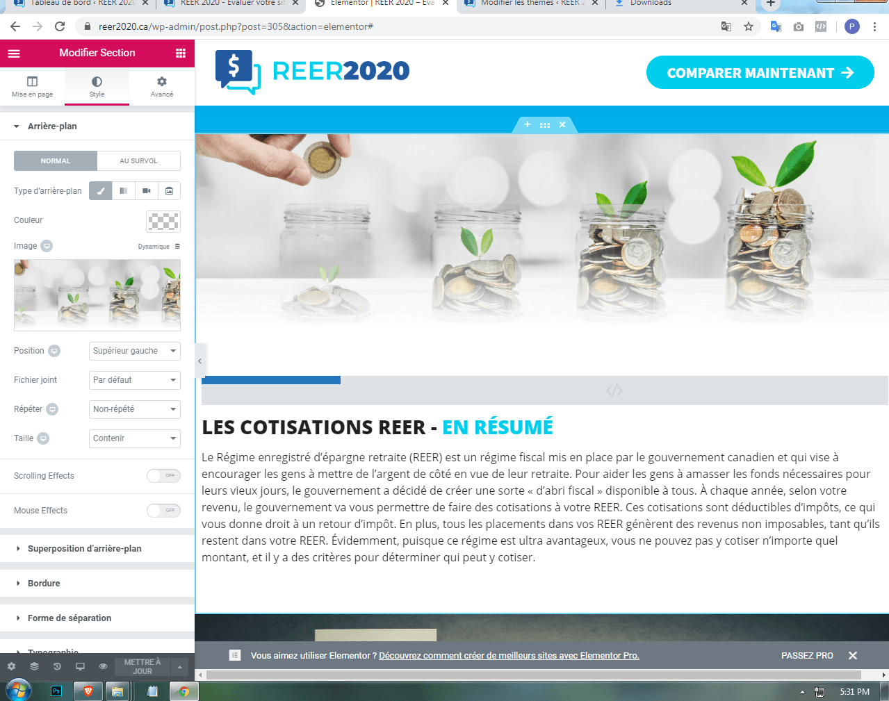 REER 2020 | Genesis & Elementor WordPress Development screenshot 2