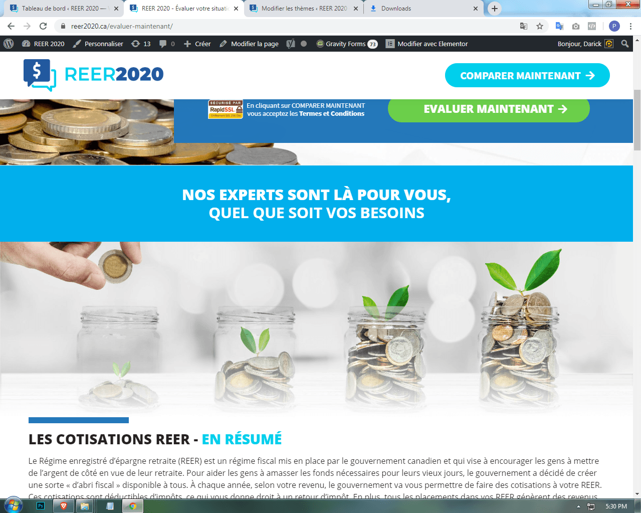 REER 2020 | Genesis & Elementor WordPress Development screenshot 1